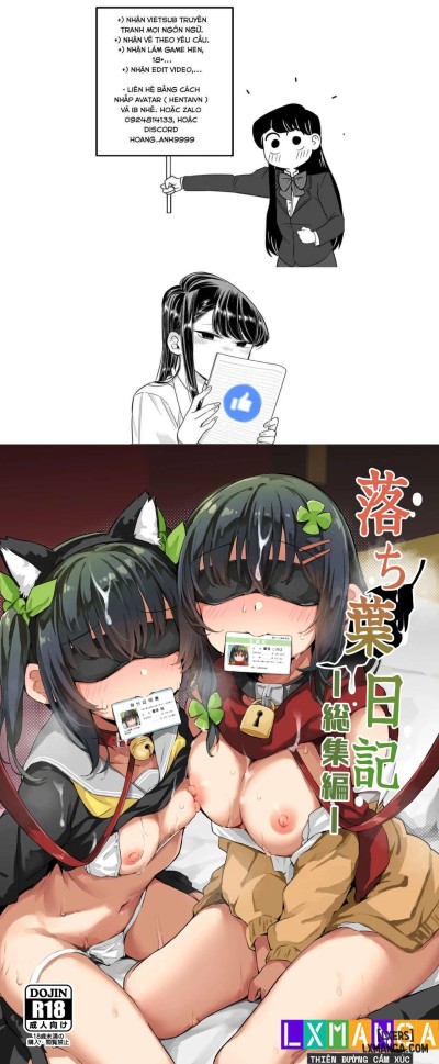 Ochiba Nikkiii