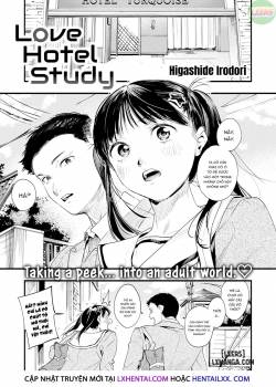 Love Hotel Study