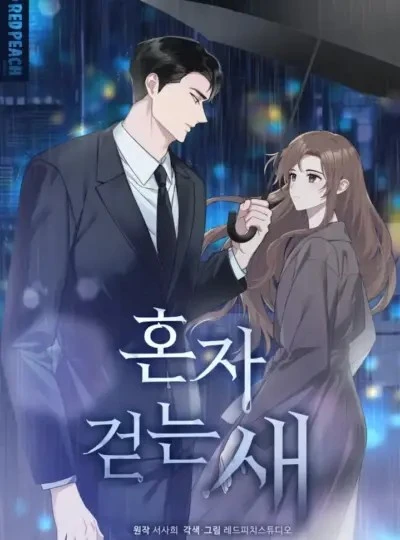 [ 18+ ] "Chú chim đi một mình"