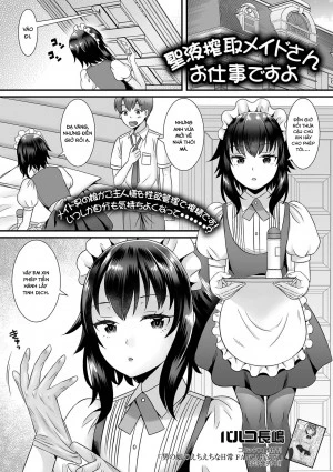 Seiki Sakushu Maid-san Oshigoto Desu Yo