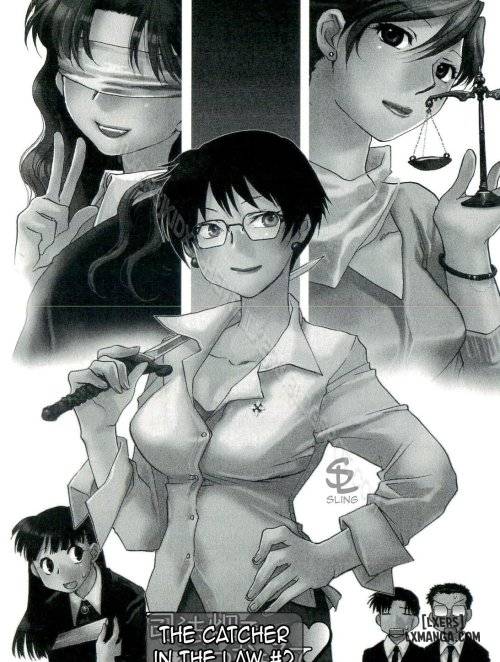 The Catcher in the Law