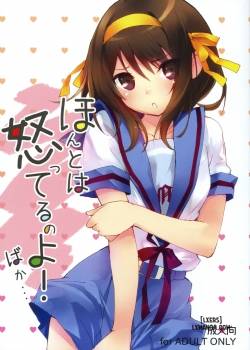 Honto wa Okotteru no yo! Baka