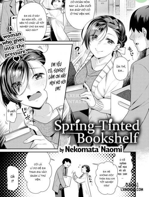Spring-Tinted Bookshelf