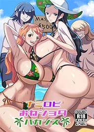 Chuyến Đi Của NamiRobi